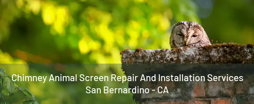 Chimney Animal Screen Repair And Installation Services San Bernardino - CA