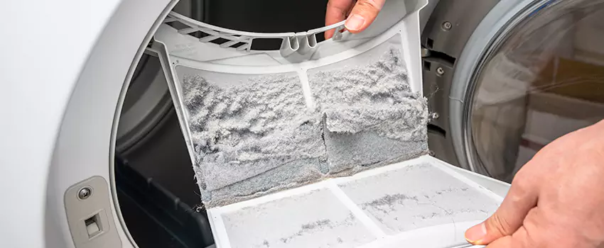 Best Dryer Lint Removal Company in San Bernardino, California