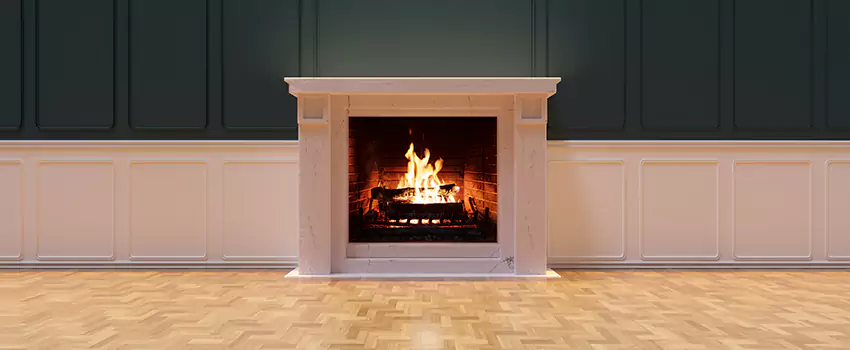 Napoleon Electric Fireplaces Inspection Service in San Bernardino, California